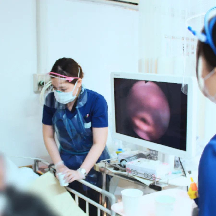 嚥下内視鏡検査(VE)イメージ